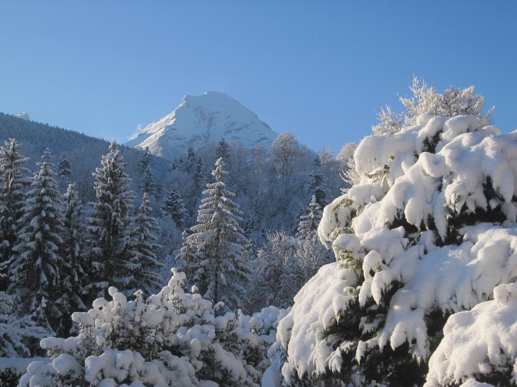 Engedey Haus Alpengluehn 아파트 외부 사진